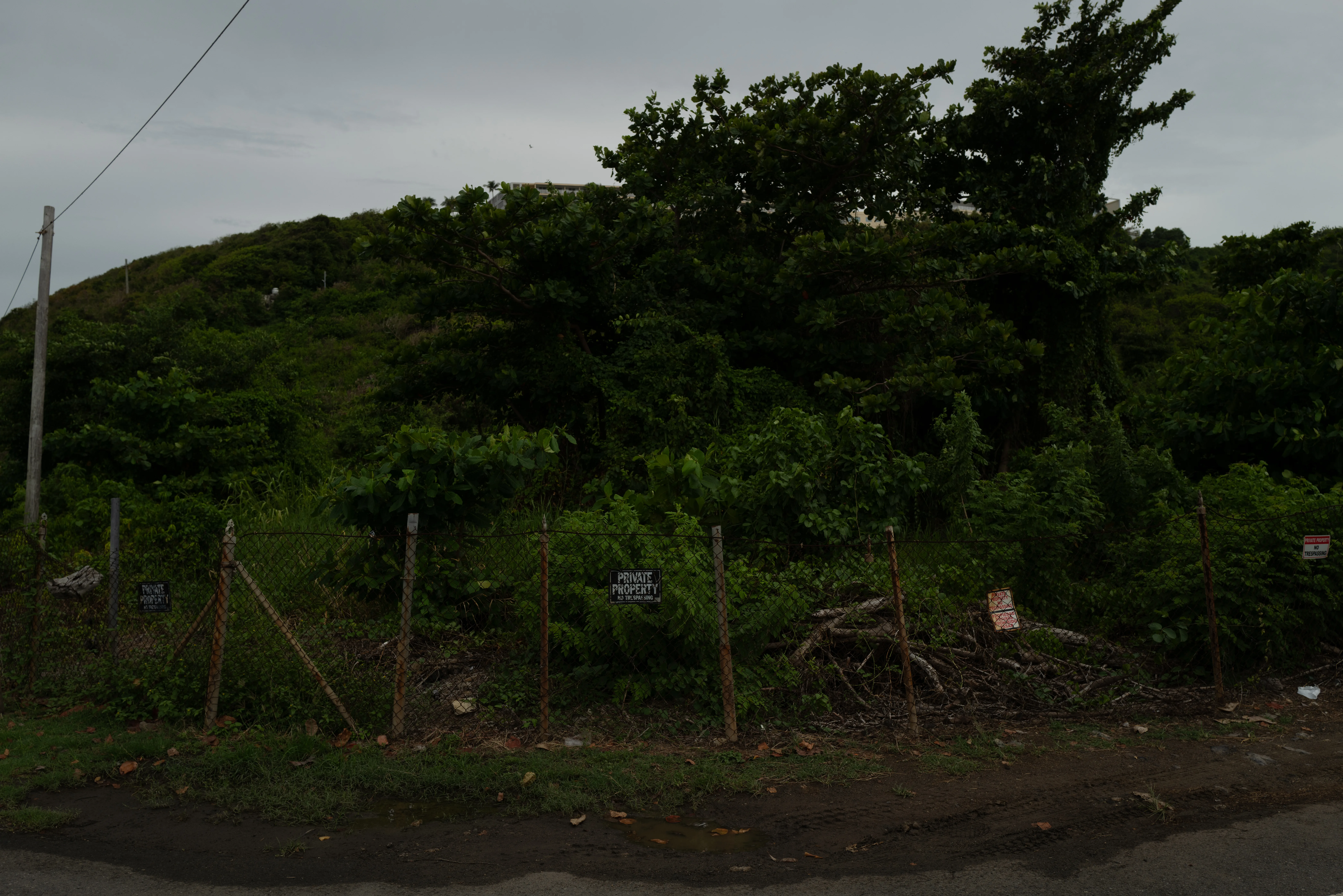 Puerto Rico, 2025